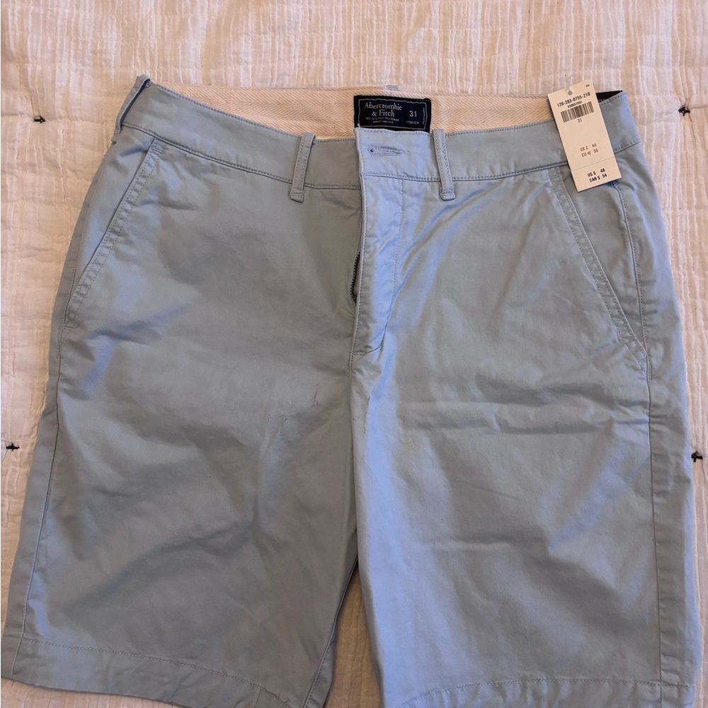 Abercrombie & Fitch Blue Flat Front Shorts